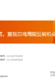 农林牧渔行业专题研究:引种缺口已成,重视白鸡周期反转机会