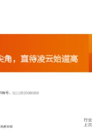 光伏反射膜行业深度研究：小荷才露尖尖角，直待凌云始道高