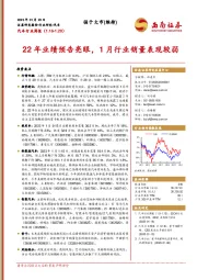 汽车行业周报：22年业绩预告亮眼，1月行业销量表现较弱
