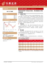 家用电器行业报告：智能家居场景下的高成长标的，家电新股萤石网络表现亮眼