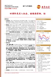 有色行业周报：回调即是买入机会，继续推荐铜、铝