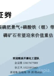化工:冬储春耕提振磷肥景气+磷酸铁(锂)带动需求增量,磷矿石有望迎来价值重估