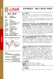 电力设备行业动态：效率持续提升，钙钛矿GW级产线渐进