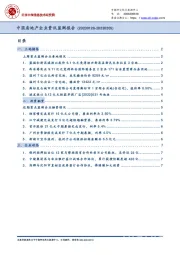 中国房地产企业资讯监测报告