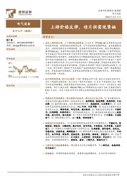 电气设备行业周报：上游价格反弹，硅片供需现紧缺
