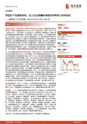 基础化工行业周报:钙钛矿产业趋势启动,化工企业前瞻布局相关材料助力未来成长