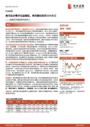 创新药深度研究系列八:痛风临床需求迅猛崛起,降尿酸创新药方兴未艾