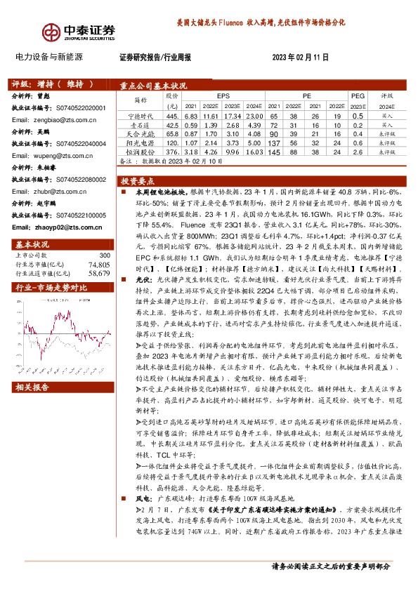 电力设备与新能源行业周报：美国大储龙头Fluence收入高增,光伏组件市场价格分化
