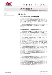 1月汽车销量点评：受到补贴退坡和春节假期影响，销量同比跌幅较大