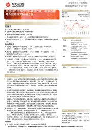 新能源汽车产业链行业行业周报:中国动力电池企业份额超六成,磷酸铁锂龙头登陆深交所创业板