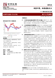 锂电池行业月报：销量回落，短期谨慎关注