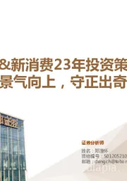 社服&新消费行业23年投资策略： 景气向上，守正出奇