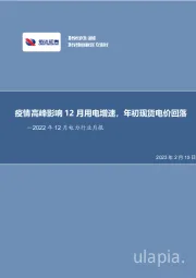 2022年12月电力行业月报：疫情高峰影响12月用电增速，年初现货电价回落