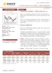 饰品：1月培育钻毛坯进口环比+19%，中游补库持续修复