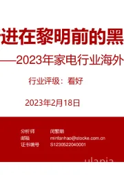 2023年家电行业海外专题报告:行进在黎明前的黑暗