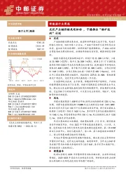 新能源行业周报：光伏产业链价格或迎松动，宁德推出“锂矿返利”计划