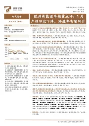 欧洲新能源车销量点评：1月产销环比下降，渗透率有望回升
