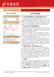 光伏玻璃行业系列报告（一）：风物长宜放眼量
