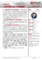 电力设备及新能源:EV观察系列132-1月新能车销量环比下滑,传统车企表现坚挺