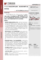 电子行业周观点：中大尺寸面板有望率先提价，服务器存储景气度相对较高