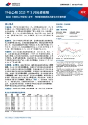 环保公用2023年3月投资策略:《2023年政府工作报告》发布,推动新型能源体系建设和节能降碳