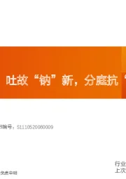 钠电池深度：吐故“钠”新，分庭抗“锂”