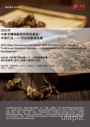 2022年中国专精特新系列研究报告：中药行业 ――守旧创新迎发展