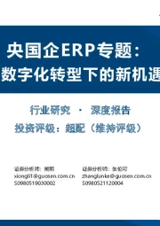 央国企ERP专题:数字化转型下的新机遇