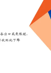电子行业报告：ASML浸没式光刻设备出口或受限制，台积电2023年2月营收环比下降