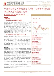 电力设备与新能源行业周观察:中汽协公布2月新能源汽车产销,辽西首个海风漂浮式测风塔完成施工安装
