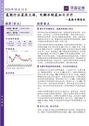 氢能专题报告:氢能行业星辰大海,电解水制氢如日方升