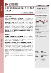 2月珠宝电商数据跟踪报告：2月黄金珠宝线上数据回暖，部分内资品牌表现亮眼