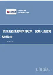 非银金融：首批主板注册制项目过审，聚焦大盘蓝筹和制造业