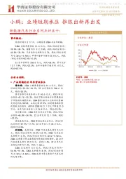 新能源汽车行业系列点评五十：小鹏：业绩短期承压 推陈出新再出发