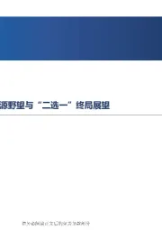 新能源行业周报：中国技术狂飙，欧盟的新能源野望与“二选一”终局展望