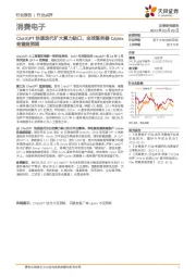消费电子:ChatGPT快速迭代扩大算力缺口,全球服务器Capex有望超预期