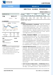 新能源电池新技术之三行业深度：钠离子电池：成本驱动，部分性能占优