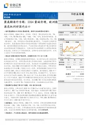 聚氨酯海外专题：22Q4量减价增，欧洲能源危机利好国内出口