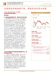 有色-能源金属行业周报：本周锂盐价格继续下跌，期待电动车需求回暖