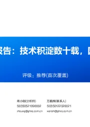 软镜行业深度报告：技术积淀数十载，国产替代正当时