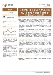 房地产:消费基础设施纳入公募REITs简评-公募REITs扩容至消费基础设施,存量资产价值有望重估