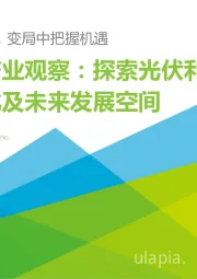光伏产业观察：探索光伏利润变化及未来发展空间