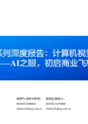 人工智能系列深度报告:计算机视觉行业框架:AI之眼,初启商业飞轮