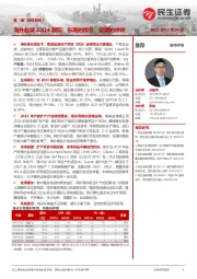 真“锂”探寻系列7:海外盐湖22Q4跟踪:乐观的指引、延期的供给