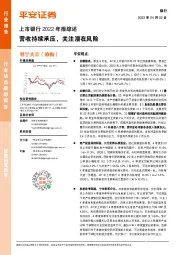 上市银行2022年报综述:营收持续承压,关注潜在风险
