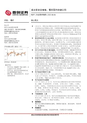 电子行业简评报告：美光受安全审查，看好国内存储公司