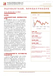 能源金属行业周报:锂盐价格延续下跌趋势,期待新能源车市场快速回暖