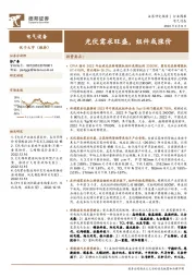 电气设备行业周报：光伏需求旺盛，组件或涨价