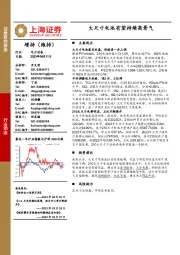 电力设备行业动态:大尺寸电池有望持续高景气