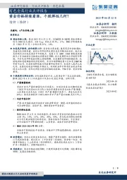 有色金属行业点评报告：黄金价格持续看涨，个股弹性几何？